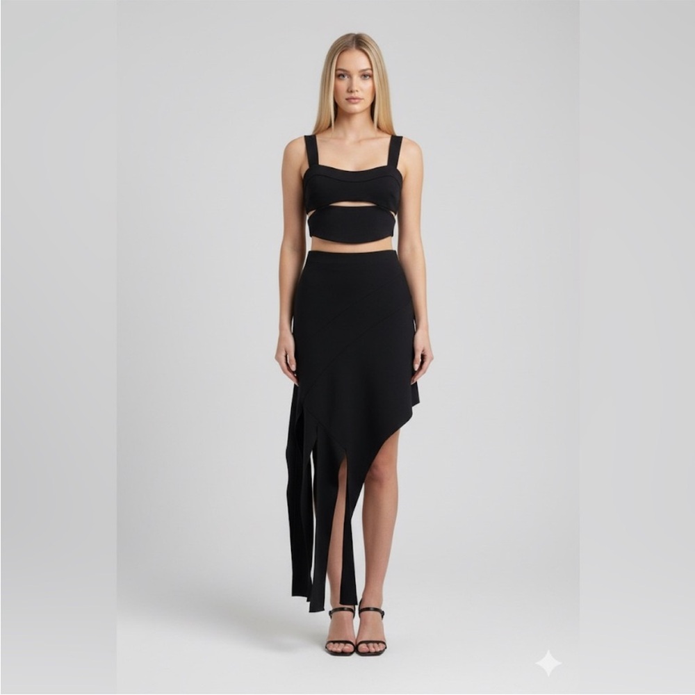 Jonathan Simkhai Iva crop top and Aubrielle Structured skirt Set Size 4 NWOT